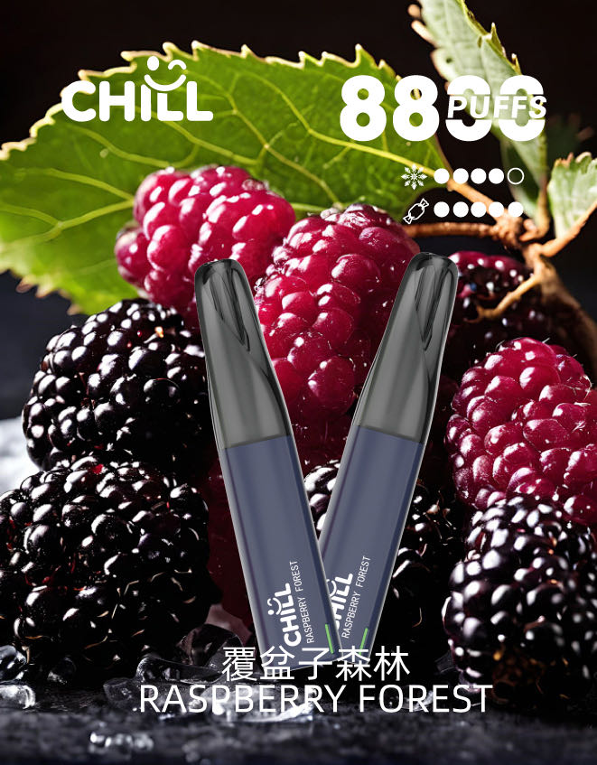 chill始祖鳥電子烟8800口